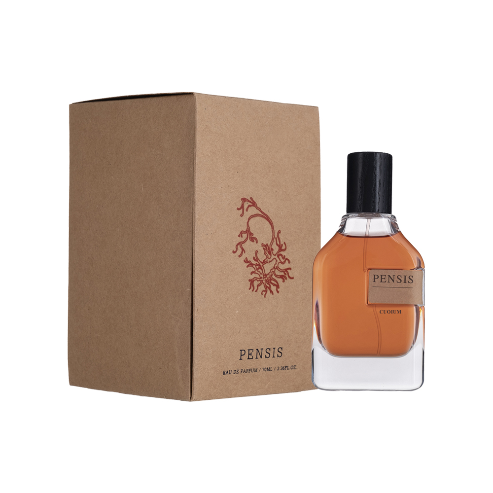 ادوپرفیوم مردانه پنسیس مدل ارتوپاریسی کیوم 70 میل